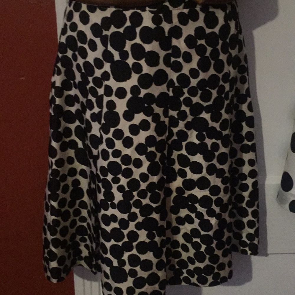 Banana Republic Silk Skirt